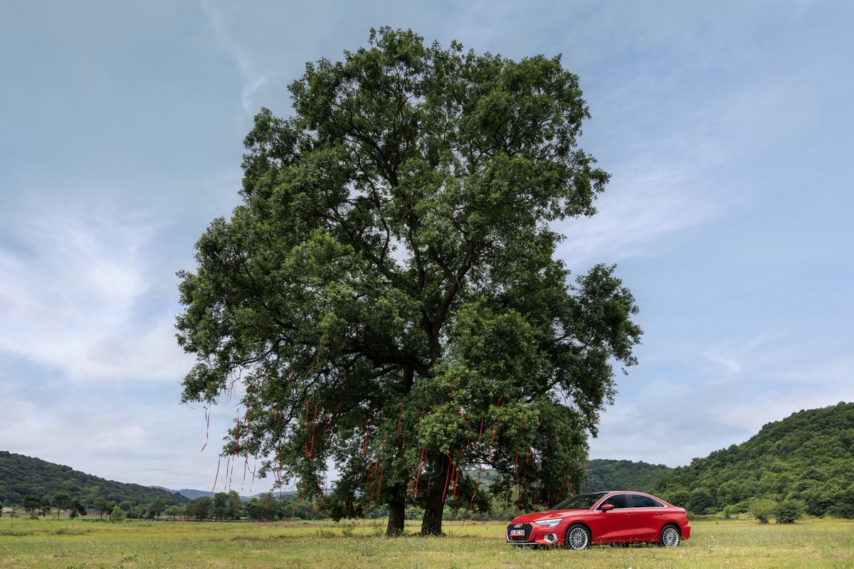 Escar, Araç Kiralama, Automotive, Furkan Uyan fotoğrafı (2)